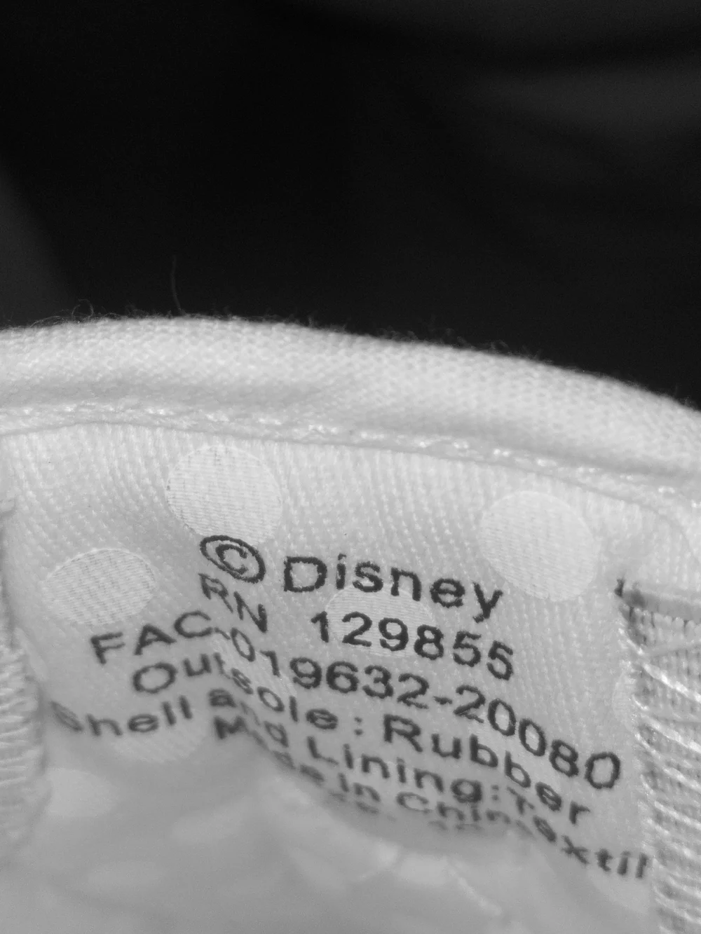 Disney description these
